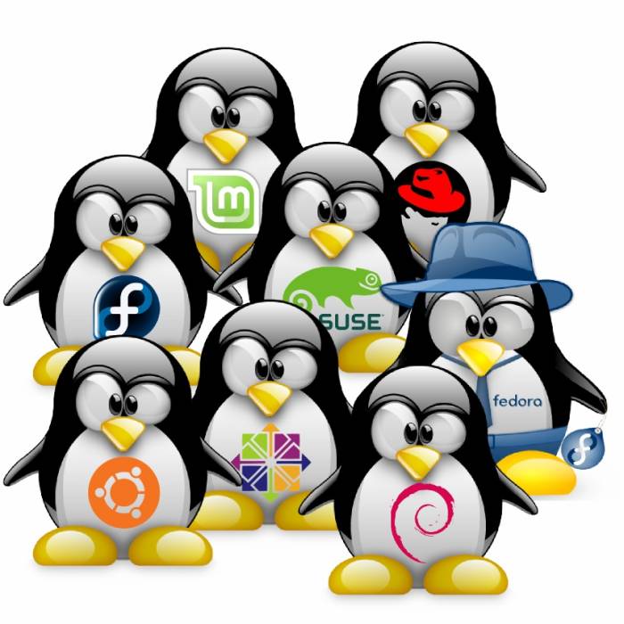 linuxversions.jpg